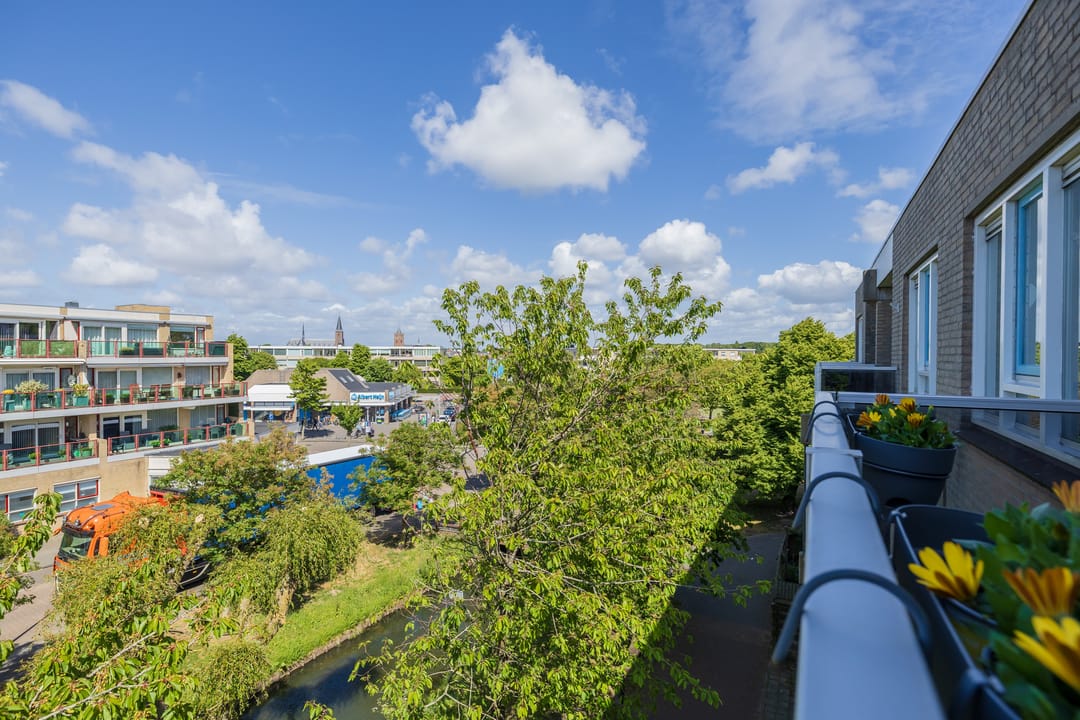 Foto 31 van Zandbank 38