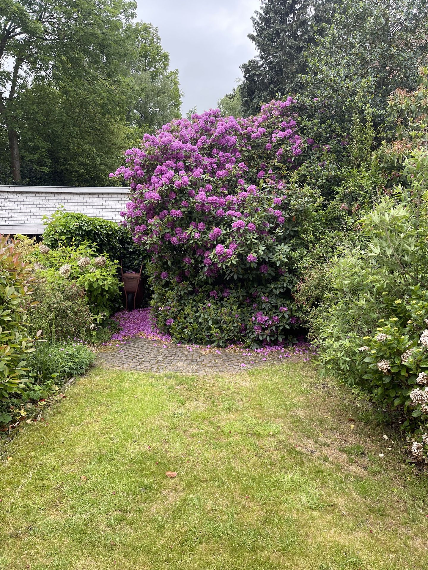 Foto 19 van Storm van 's-Gravesandeweg 15