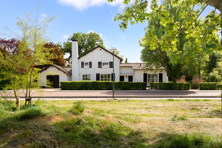 Foto 50 van Wittenhorstlaan 8