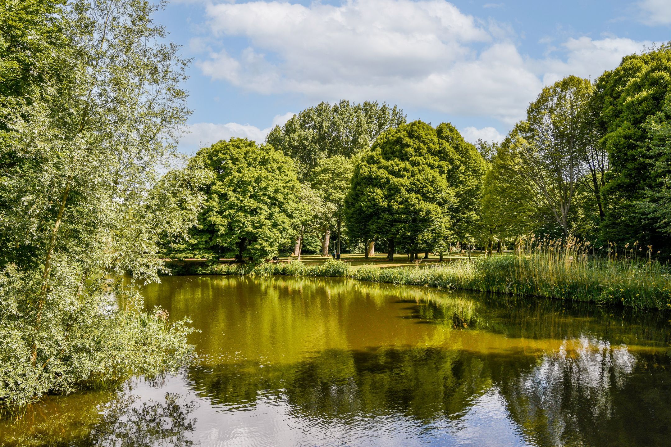 Foto 24 van Roompotstraat 6-1