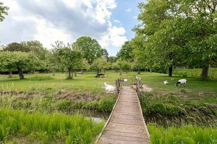 Foto 2 van Oostersingel 4