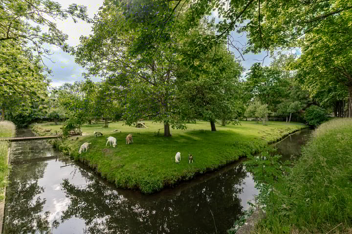 Foto 41 van Oostersingel 4