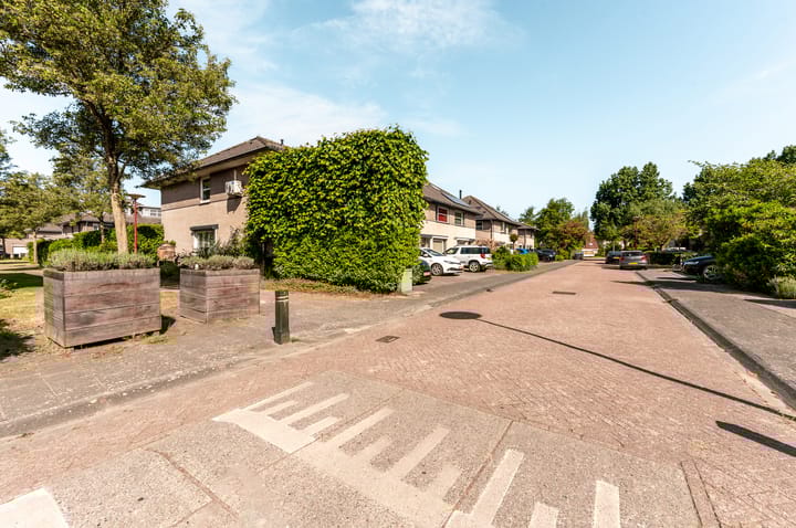 Foto 40 van Liemers 9