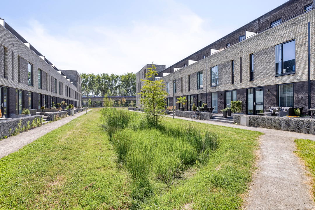 Photo 7 of Janey Tetarypad 12