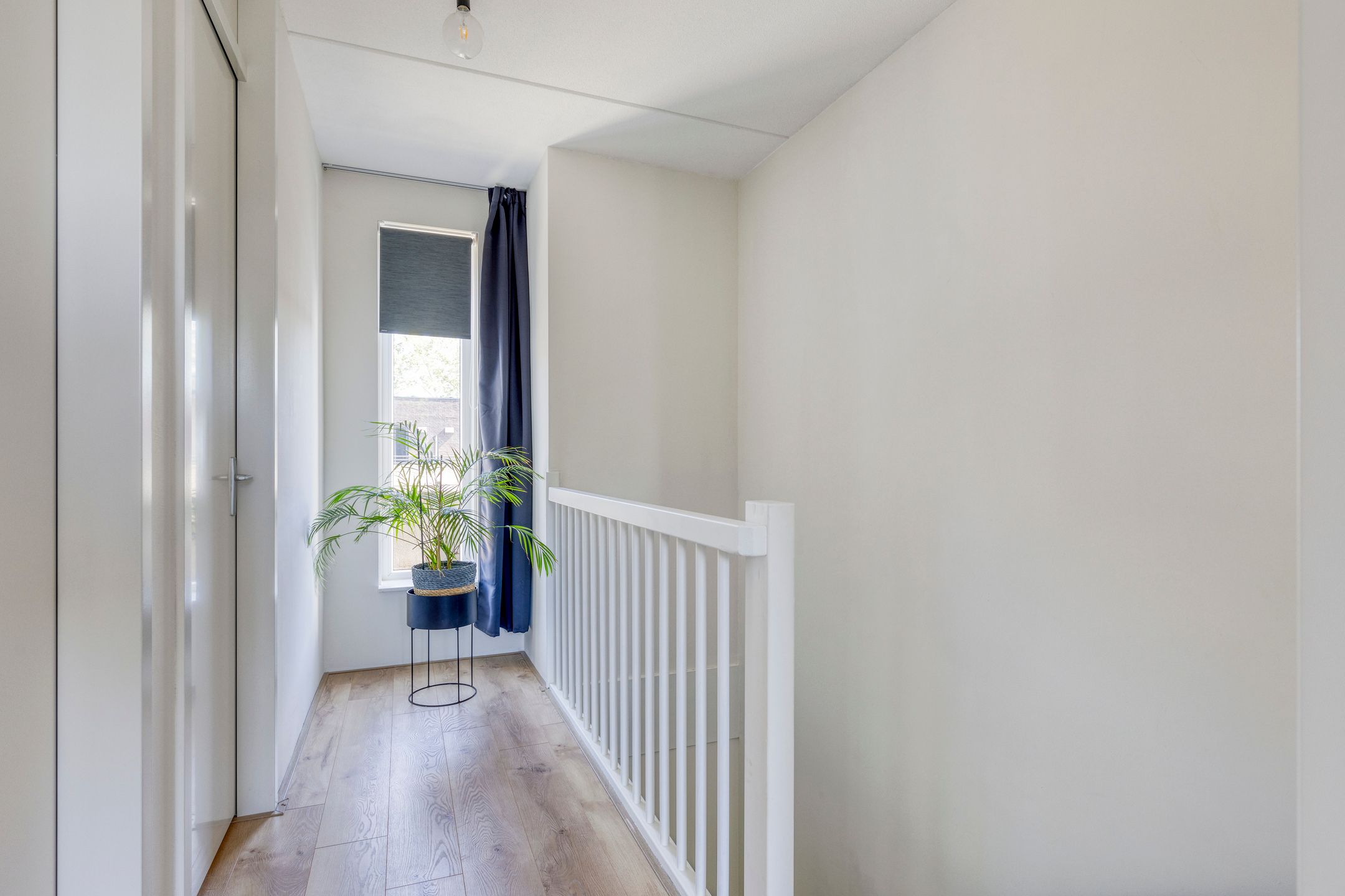 Photo 39 of Janey Tetarypad 12