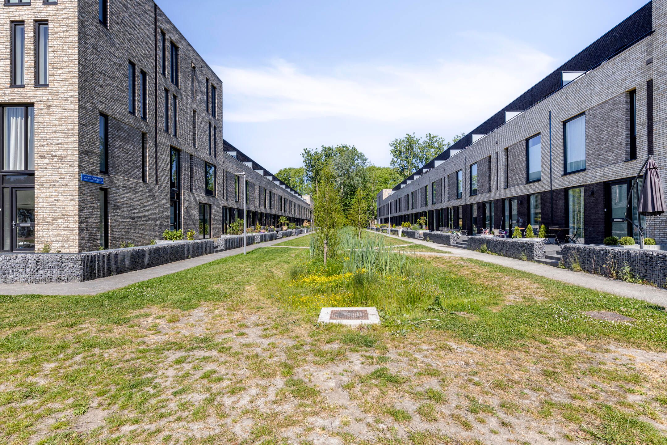 Photo 54 of Janey Tetarypad 12