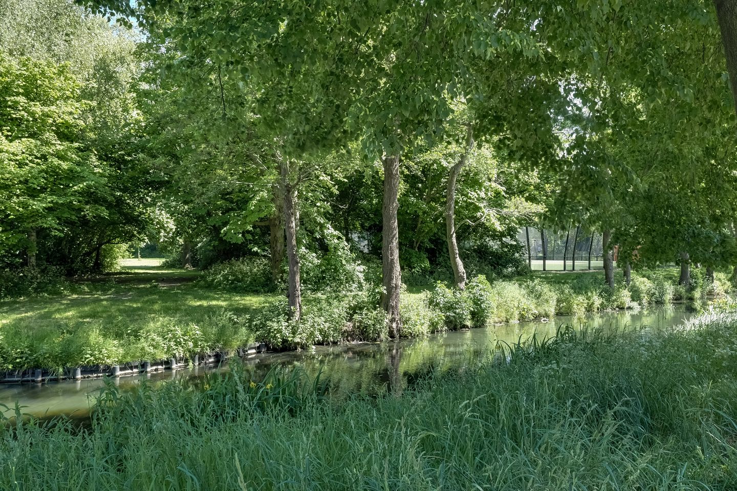 Foto 55 van Klaproos 18