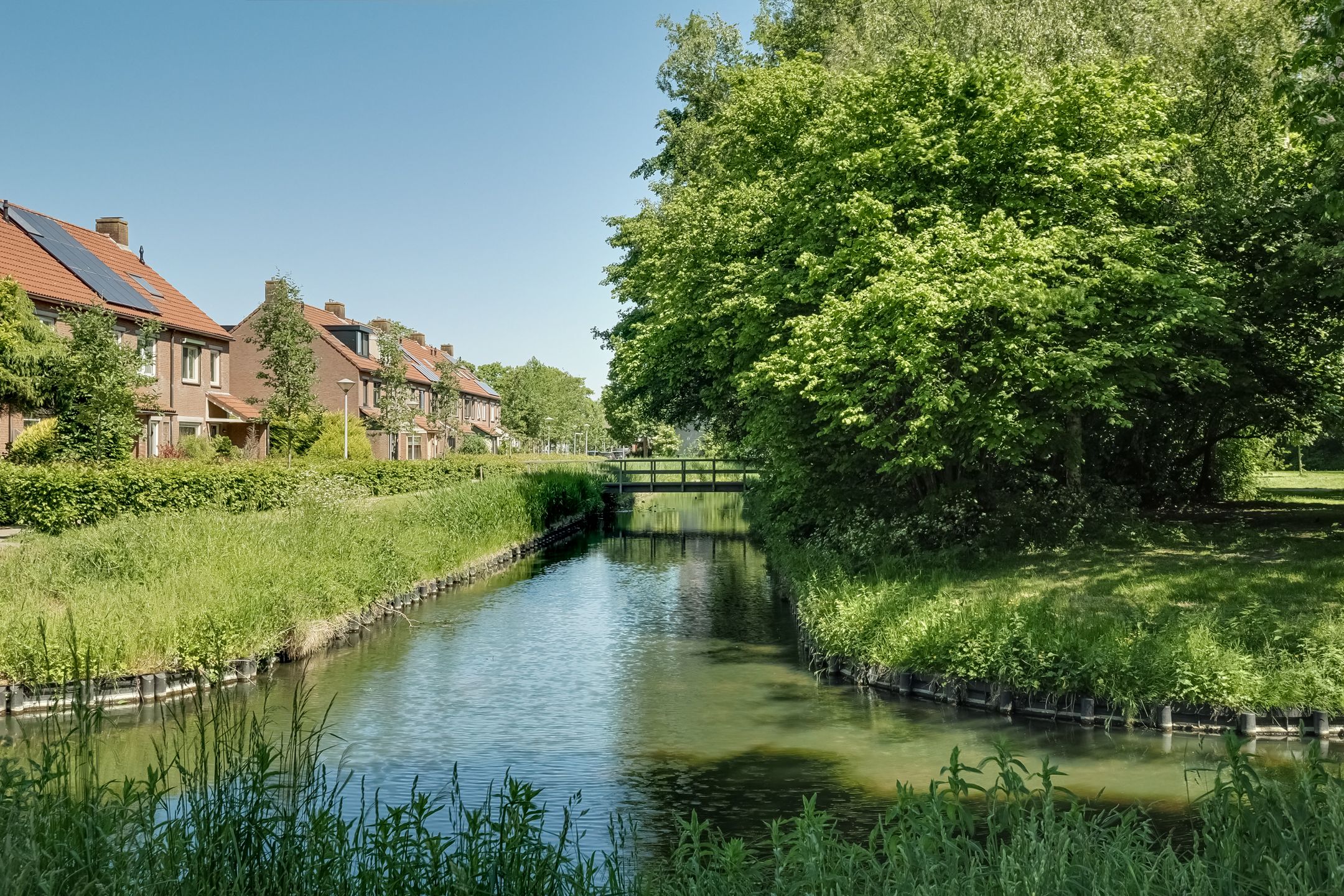 Foto 3 van Klaproos 18