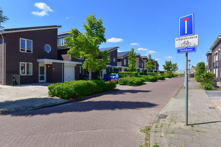 Photo 38 of Tamboer 1