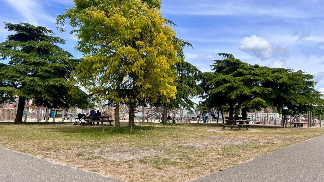 Foto 38 van Groenesteinstraat 9