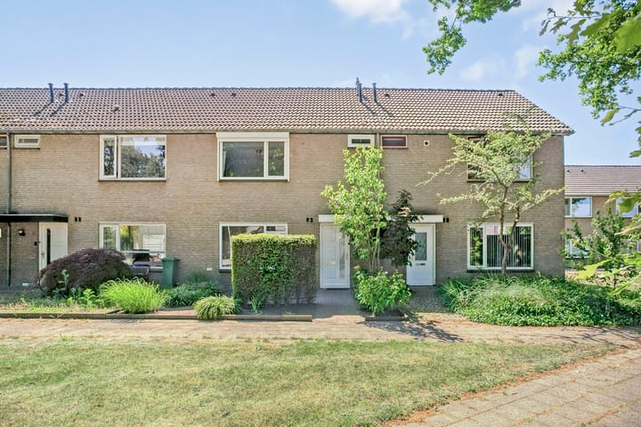 undefined main image