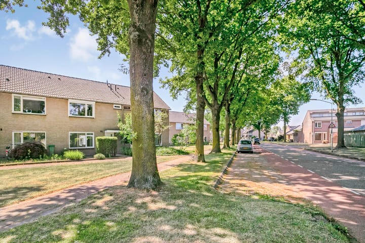 Foto 45 van Maassingel 82