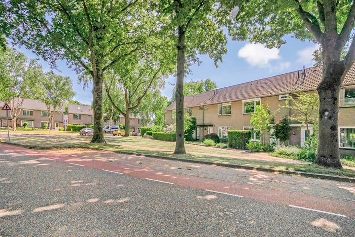 Foto 46 van Maassingel 82