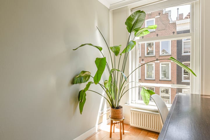 Foto 8 van Gerard Doustraat 55-2