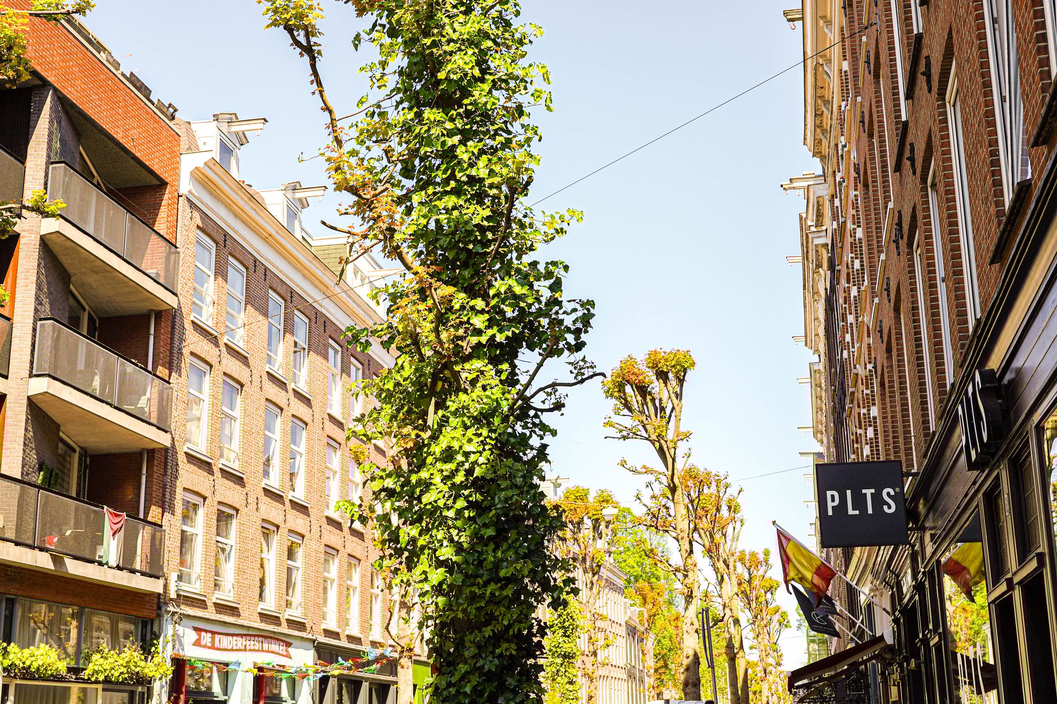 Foto 27 van Gerard Doustraat 55-2