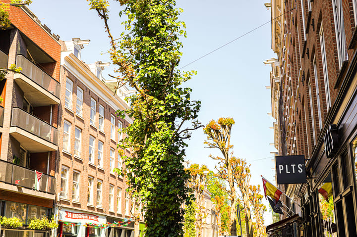 Foto 27 van Gerard Doustraat 55-2