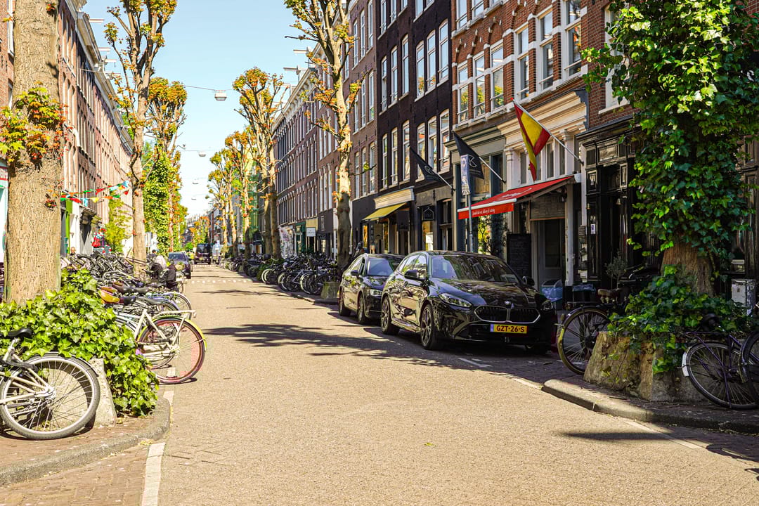 Foto 28 van Gerard Doustraat 55-2