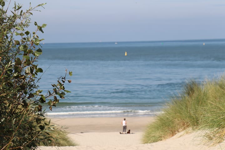 Photo 25 of Sophiaboulevard 23