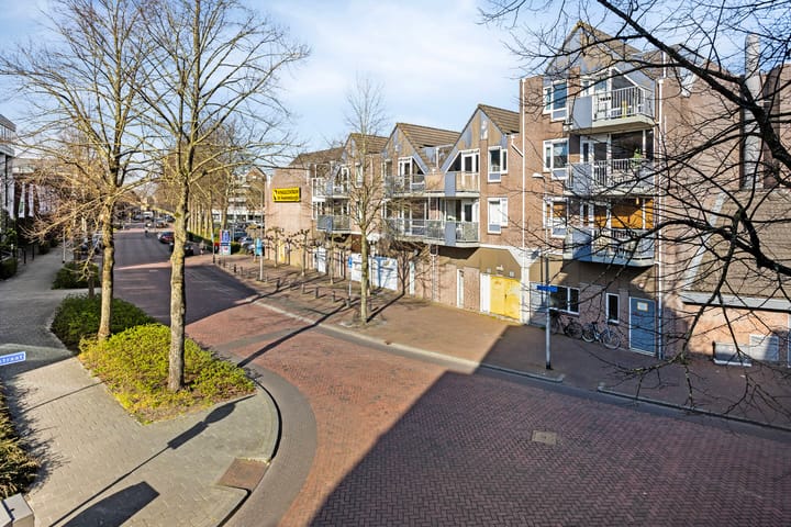 Foto 4 van de Swaenenborgh 54