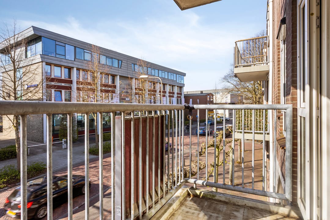 Foto 11 van de Swaenenborgh 54