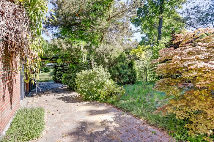 Foto 30 van Berkelstraat 28