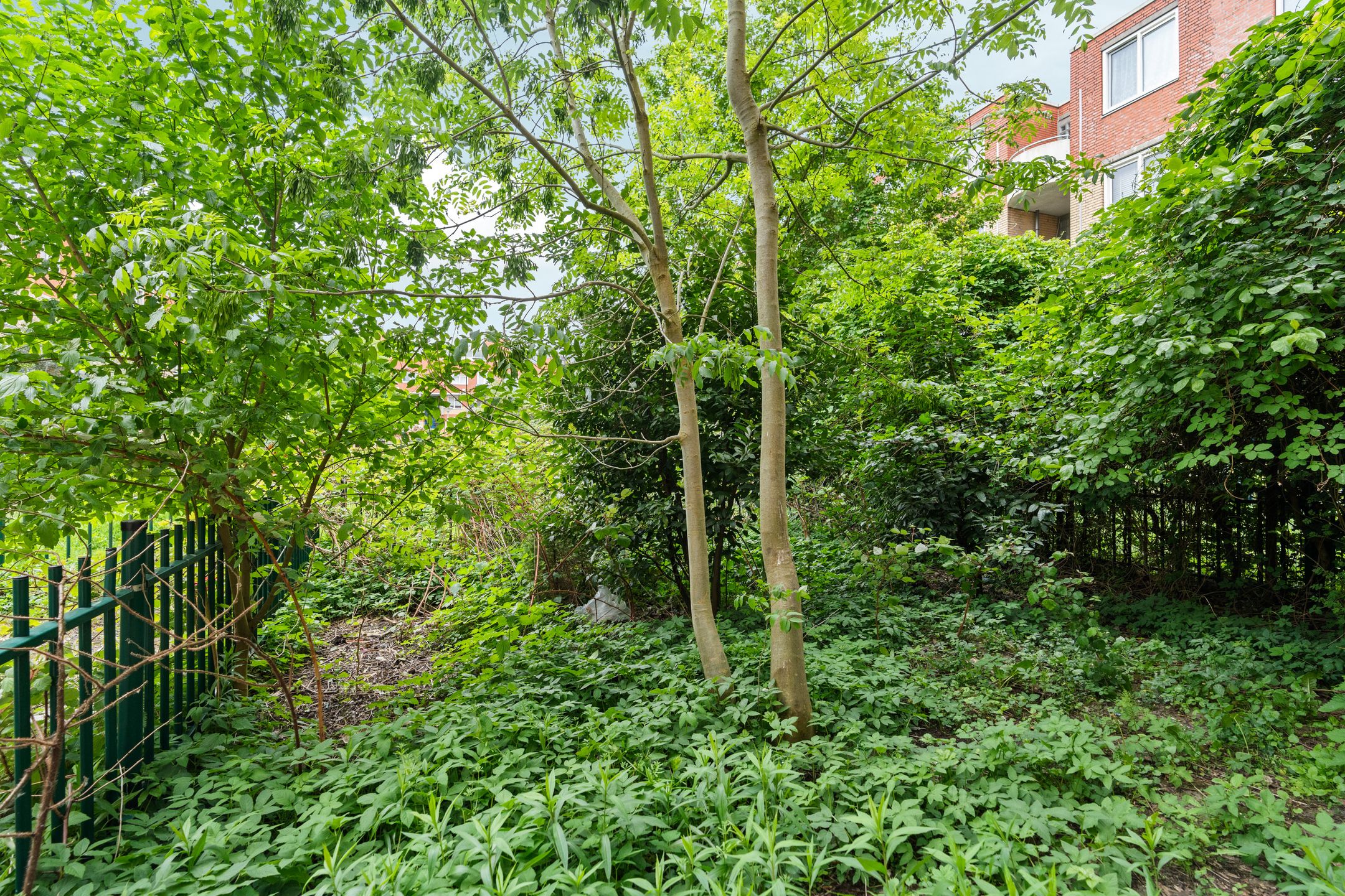 Foto 9 van Kolfschotenstraat 254