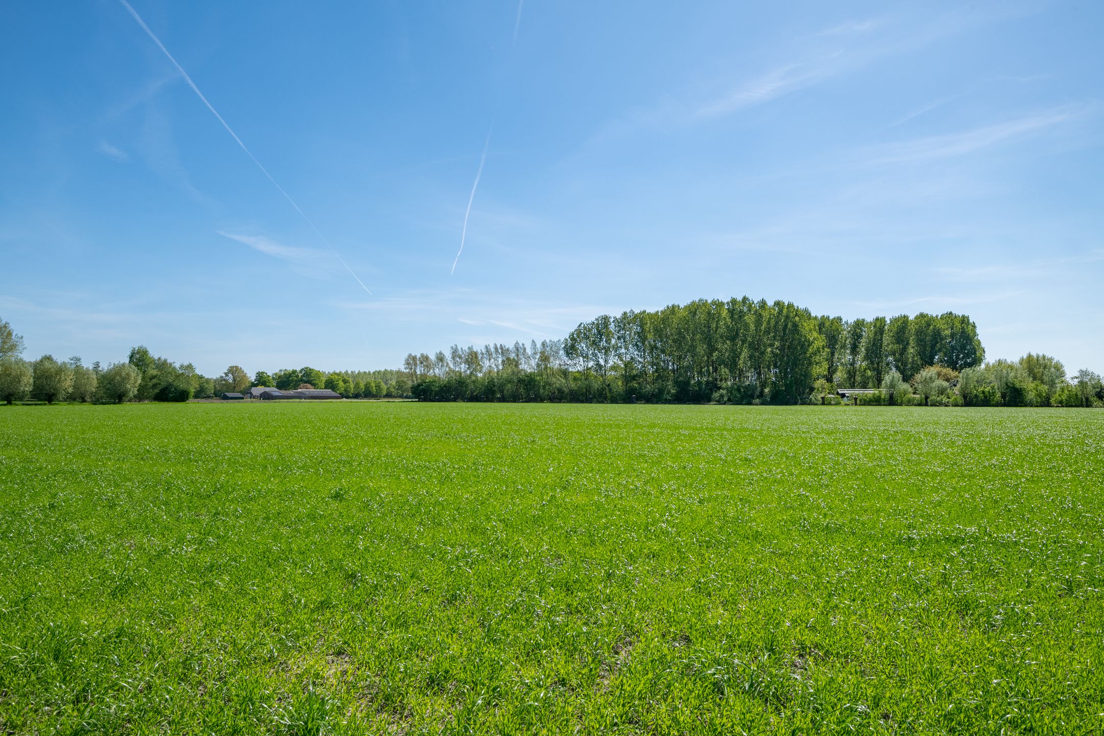 Photo 39 of Slootsdijk 14