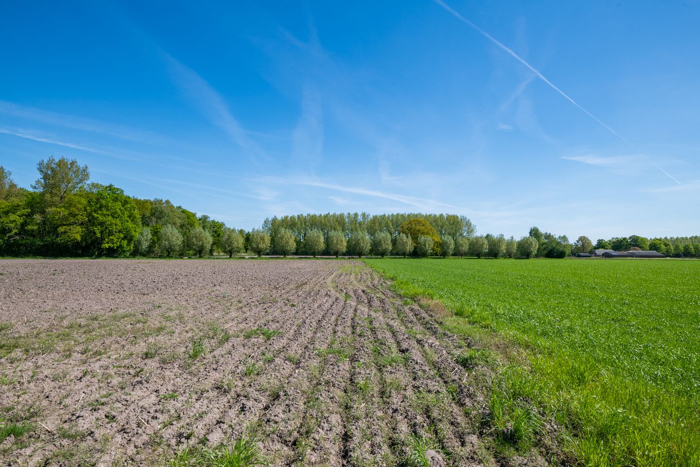 Photo 40 of Slootsdijk 14