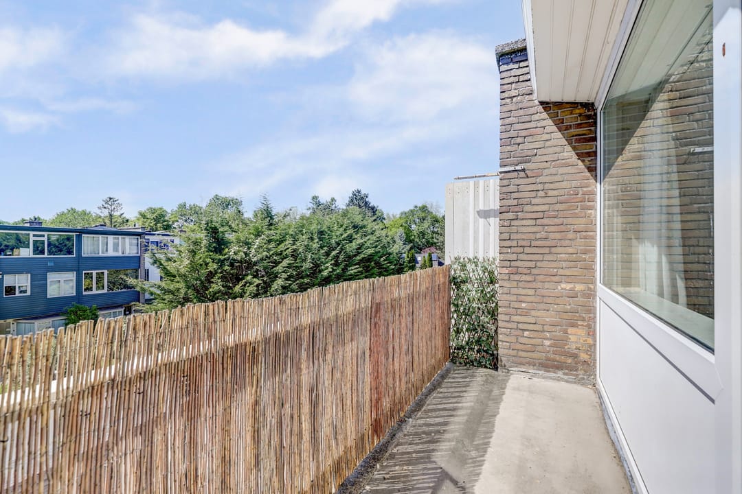 Foto 28 van Hobbemalaan 48