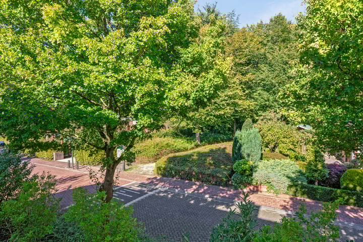 Photo 66 of Langevelderslag 84