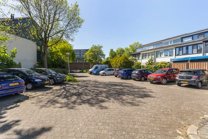 Foto 7 van Raaigras 267