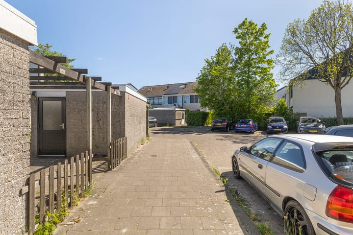 Foto 9 van Raaigras 267