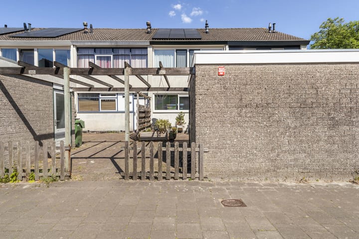 Foto 10 van Raaigras 267