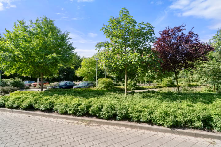 Foto 11 van Gravenhof 4