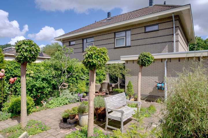 Foto 5 van Dassenwissel 5