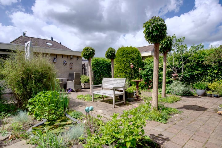 Foto 6 van Dassenwissel 5