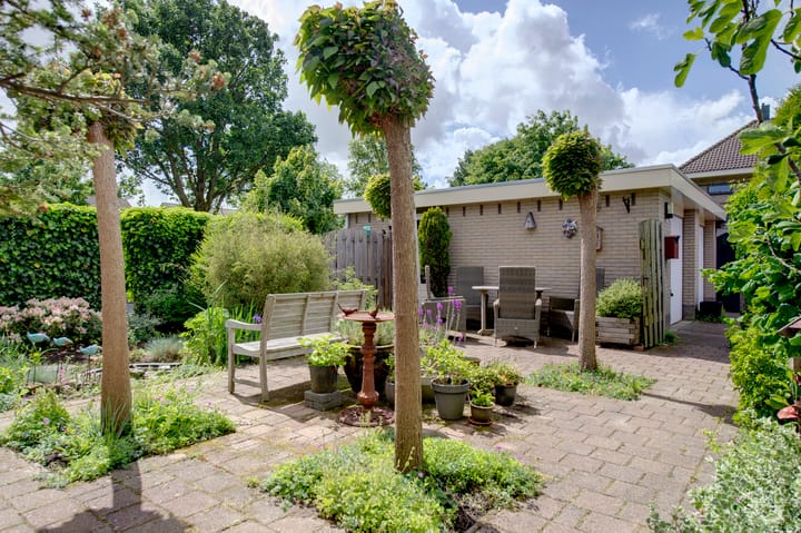 Foto 7 van Dassenwissel 5