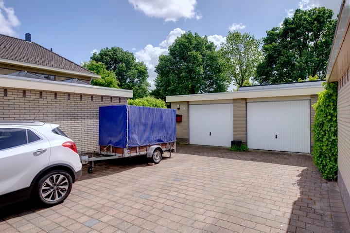 Foto 8 van Dassenwissel 5