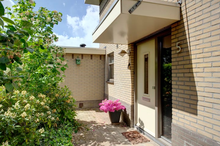 Foto 9 van Dassenwissel 5