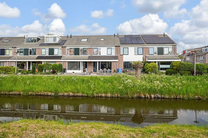 Foto 1 van Kroosvaren 41