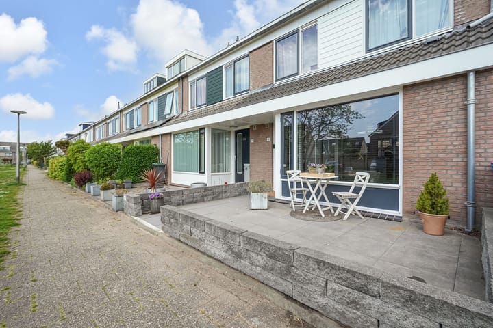 Foto 6 van Kroosvaren 41