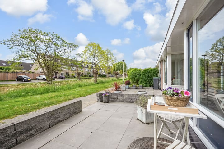 Foto 7 van Kroosvaren 41