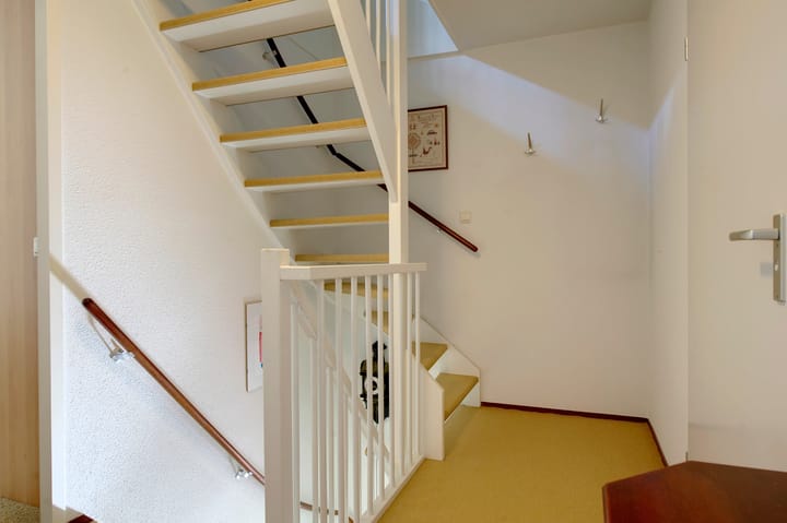 Foto 23 van Dassenwissel 5