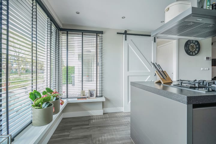 Foto 12 van Kroosvaren 41