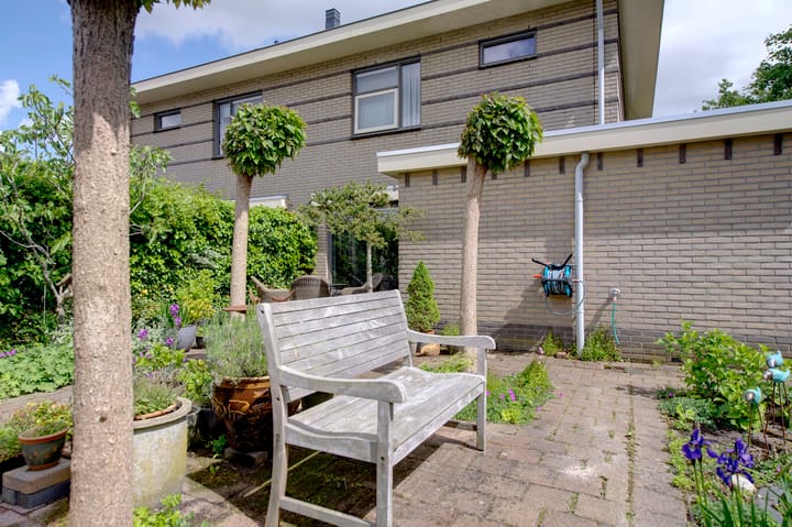 Foto 36 van Dassenwissel 5