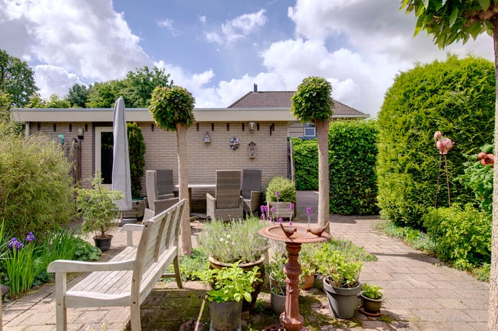 Foto 37 van Dassenwissel 5