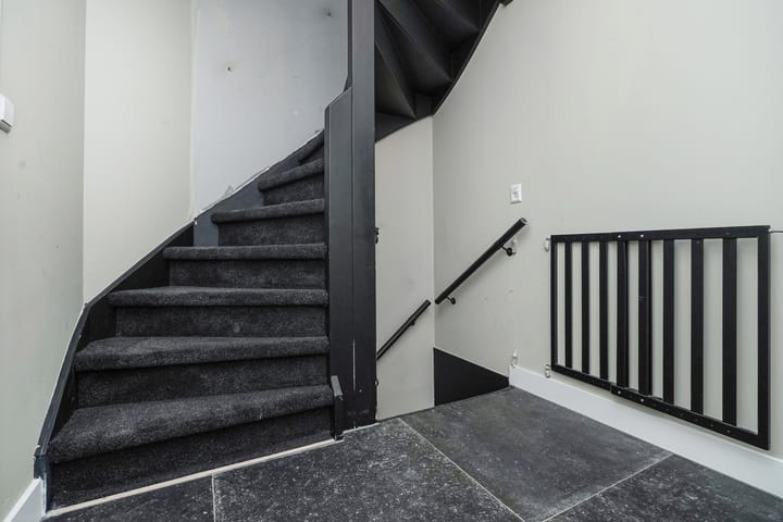 Foto 31 van Kroosvaren 41