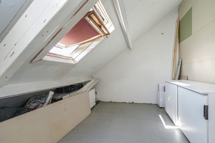 Foto 43 van Kroosvaren 41