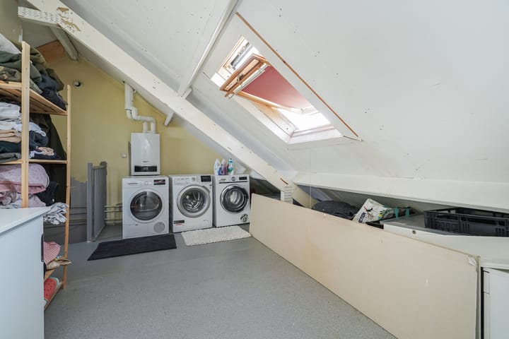 Foto 44 van Kroosvaren 41