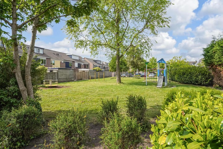 Foto 50 van Kroosvaren 41